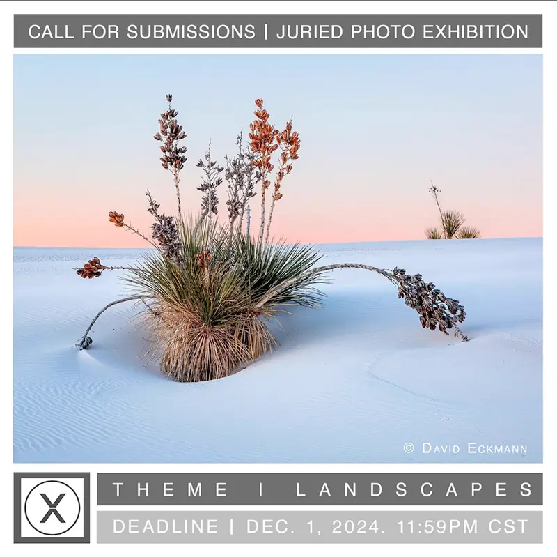 Landscapes Landscapes