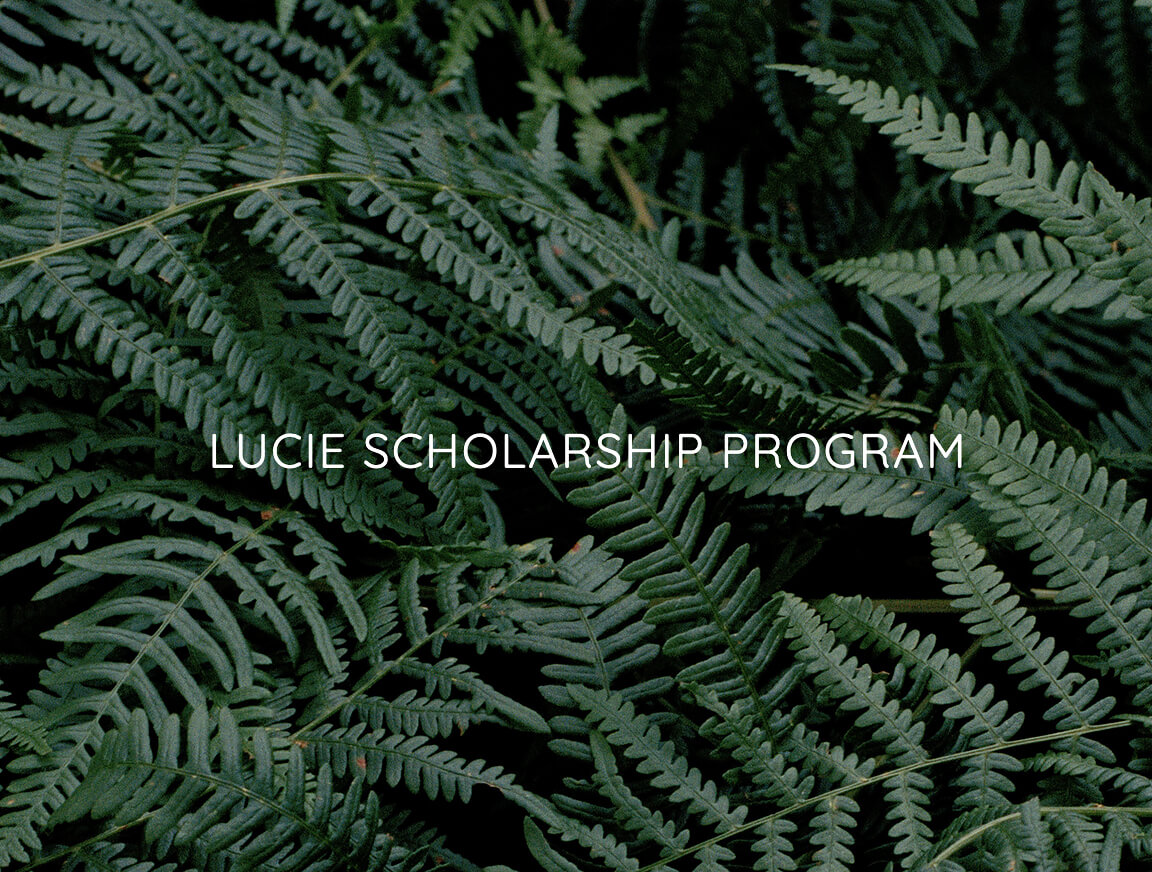 Lucie Scholarship Program 