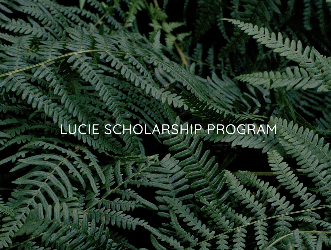 Lucie Scholarship Program