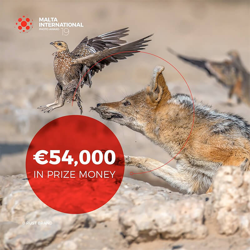 Malta International Photo Award 2019