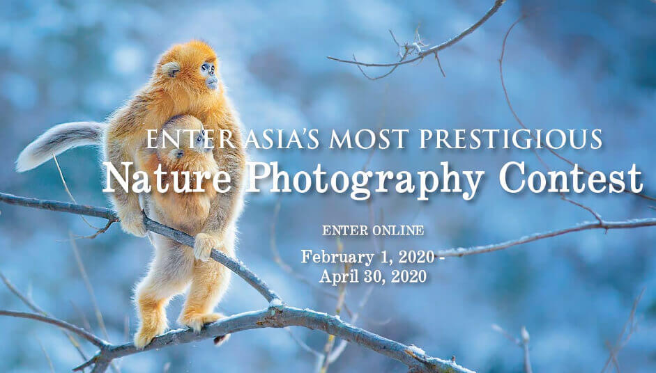 Nature Photography Contest