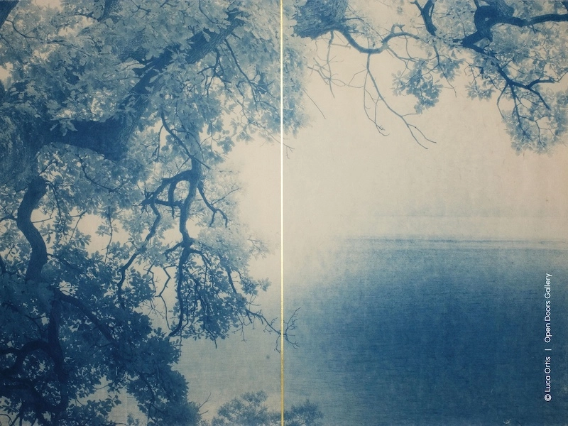 OD Photo Prize 2026