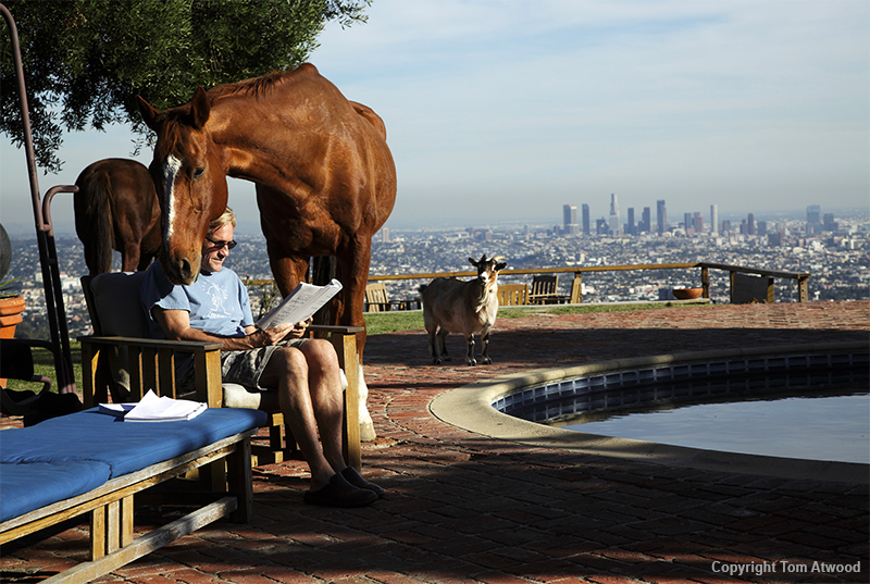 Passepartout Photography Prize 2020