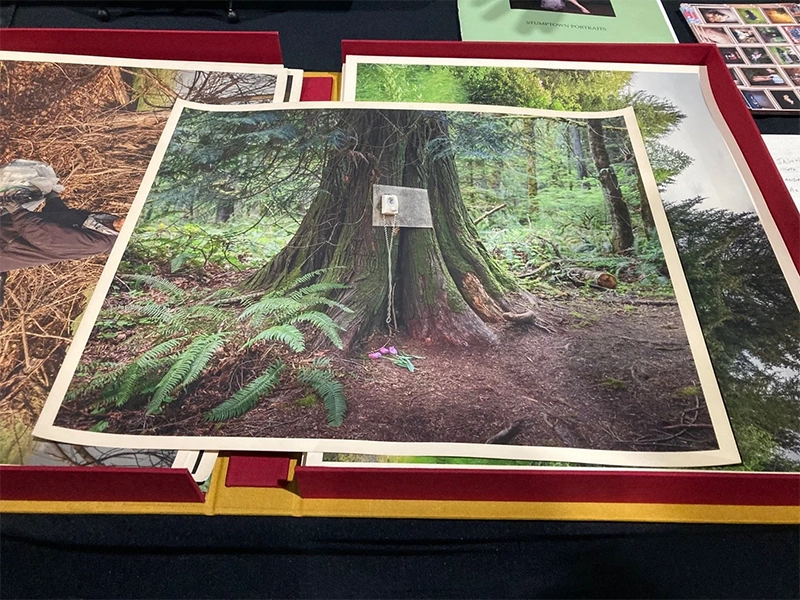 PhotoCarmel 2026 Photo Reviews