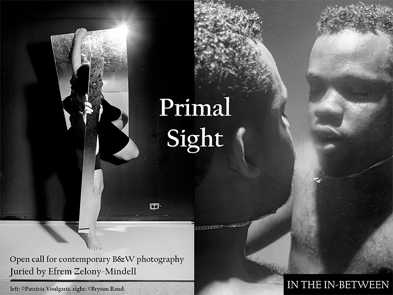 Primal Sight