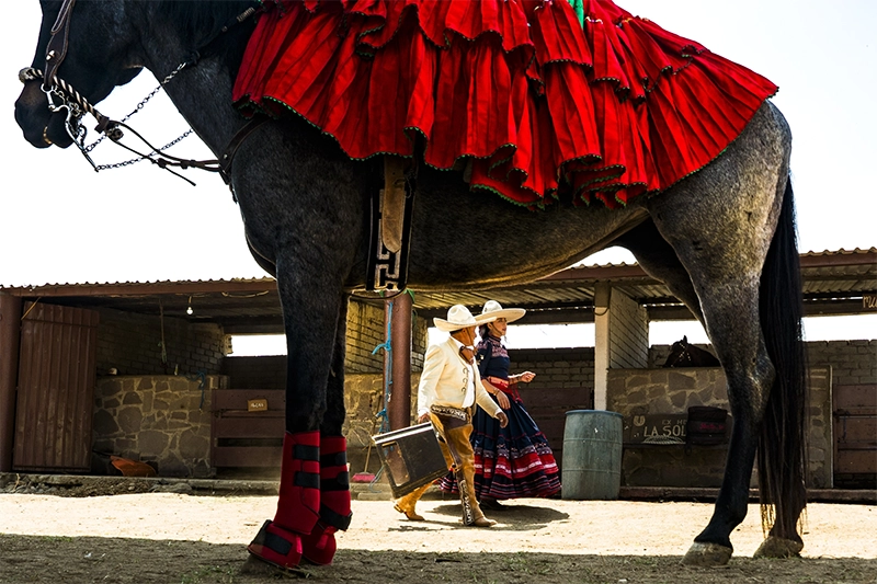 PX3 The State of the World 2026