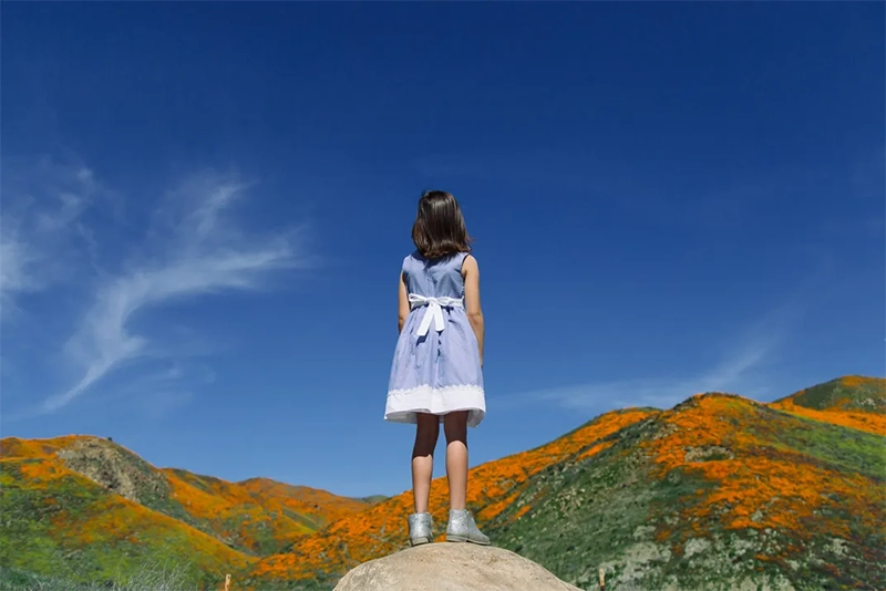 Smithsonian Magazine Annual Photo Contest 2025