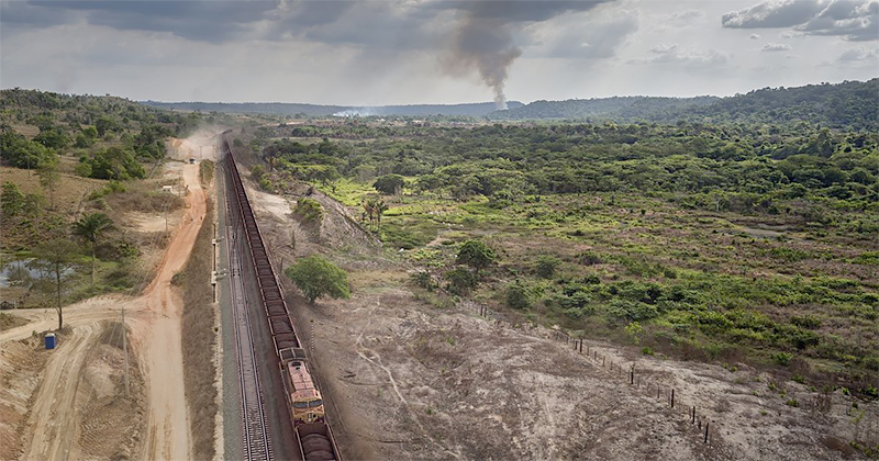 National Geographic: Stories of Tropical Rainforests