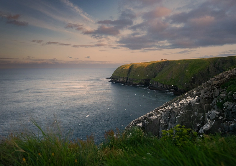 The Coastal Landscape