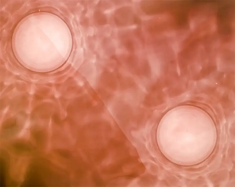 The Homiens Art Prize Spring 2026