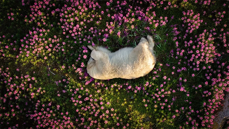 The Nature Photography Contest 2025 The Nature Photography Contest 2025