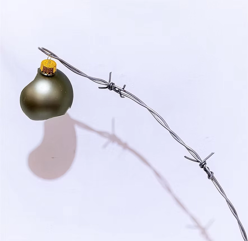 The Still Life