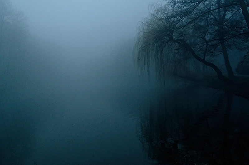 Framed: Trees and Water