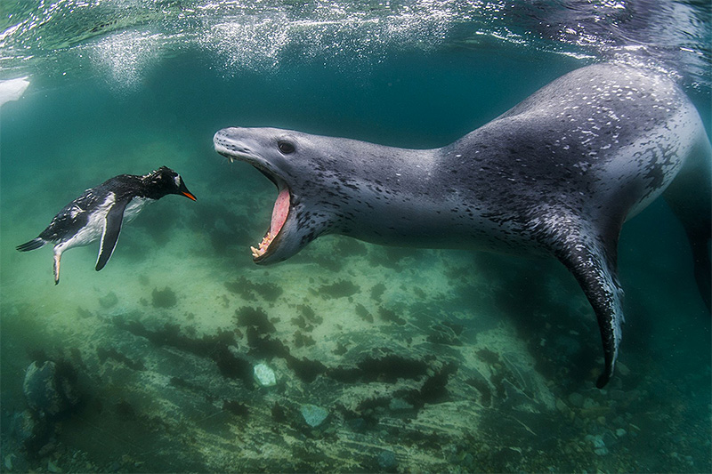 World Nature Photography Awards 2022