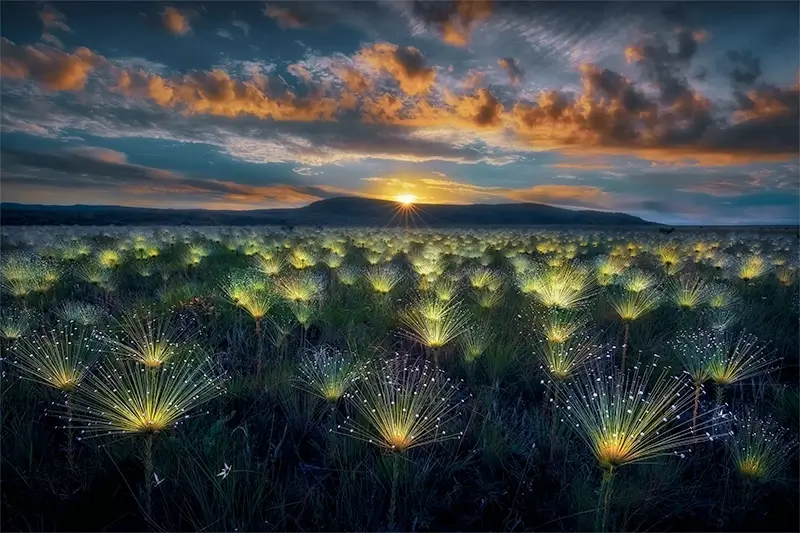 World Nature Photography Awards 2027