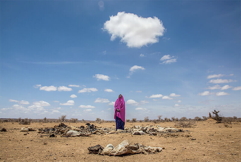 World Water Day 2021 Photo Contest