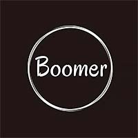The Boomer Art Prize : 2nd Edition 
