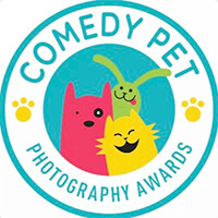 Comedy Pet Photograpy Awards