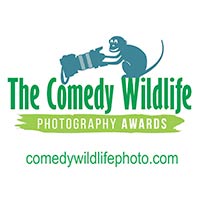 Comedy Wildlife Photography Awards