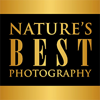 2024 Nature’s Best Photography International Awards