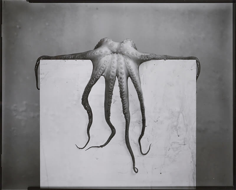 2023 International Juried Exhibition