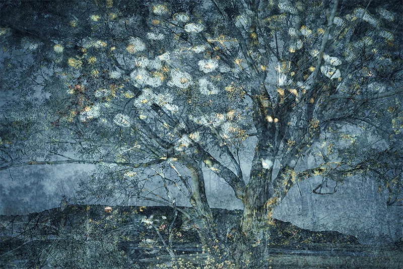 A Light Exists in Spring