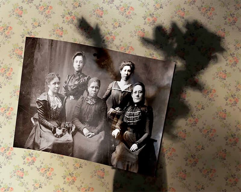 A Yellow Rose Project