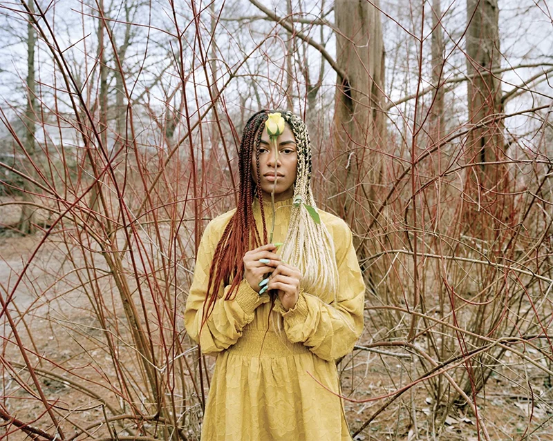 A Yellow Rose Project