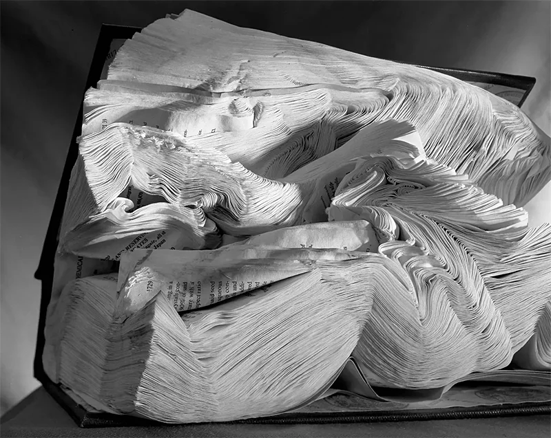 Abelardo Morell: Out of Paper, In Dialogue with Gene Davis, Kenneth Noland, Jules Olitski & Larry Poons