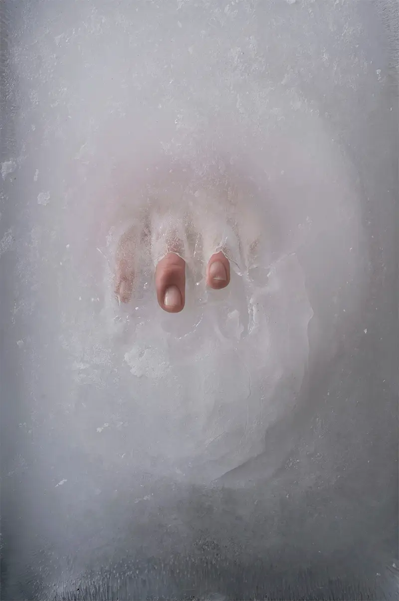 Aesthetic Impermanence: Alex Branch