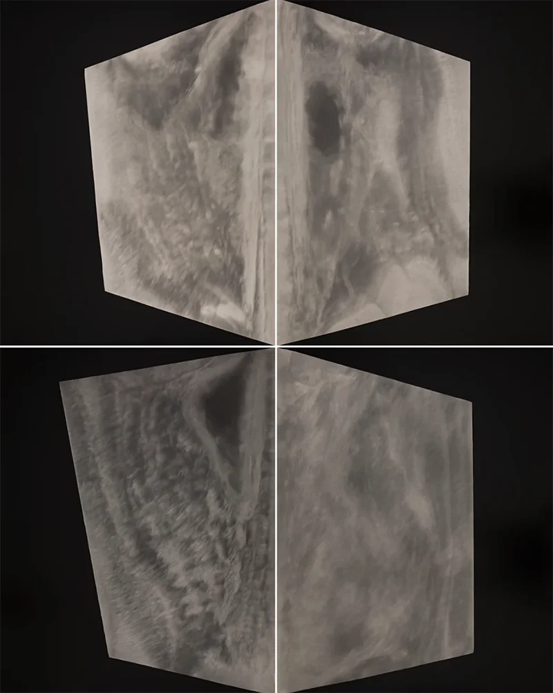 Alison Rossiter: Semblance