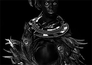 Allied with Power: African and African Diaspora Art from the Jorge M. Perez Collection