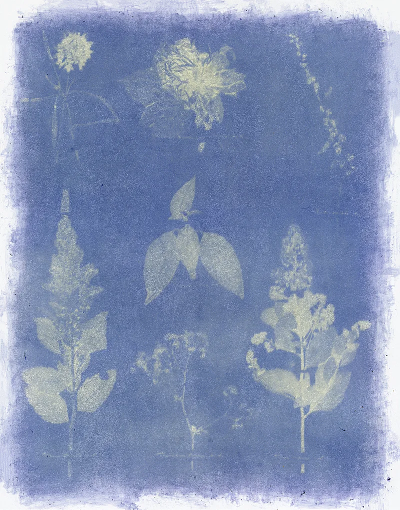 Amanda Marchand & Leah Sobsey: This Earthen Door