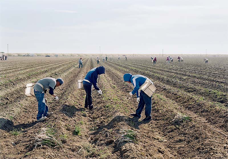 An-My Lê: On Contested Terrain