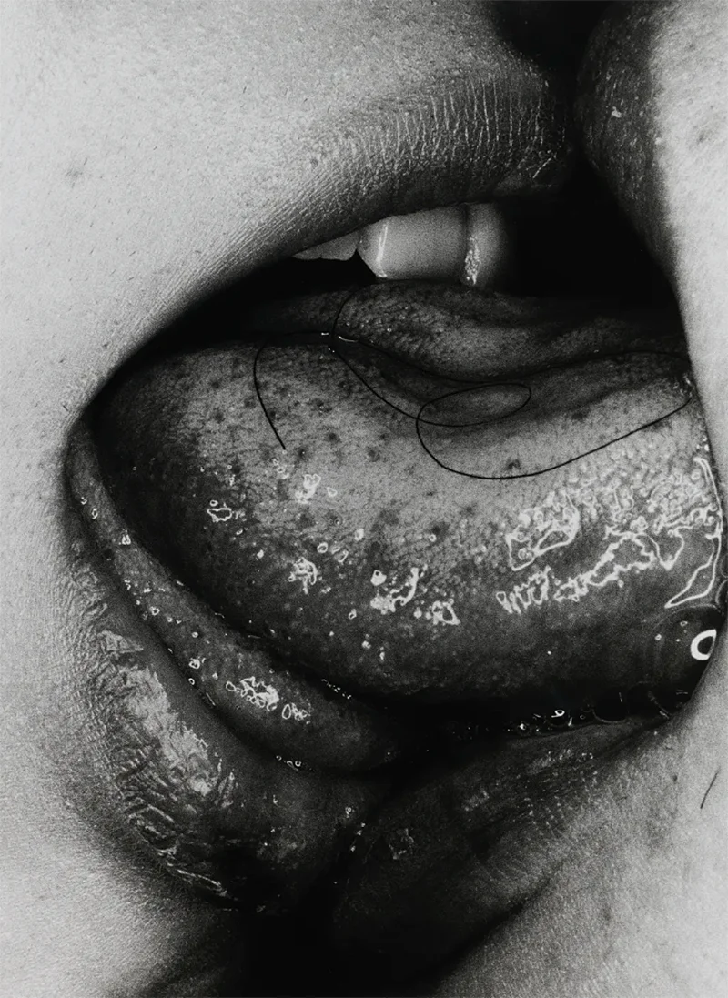 Analog: 30th Anniversary Exhibition