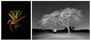 Andrés Mario de Varona + Cristobal Ascencio