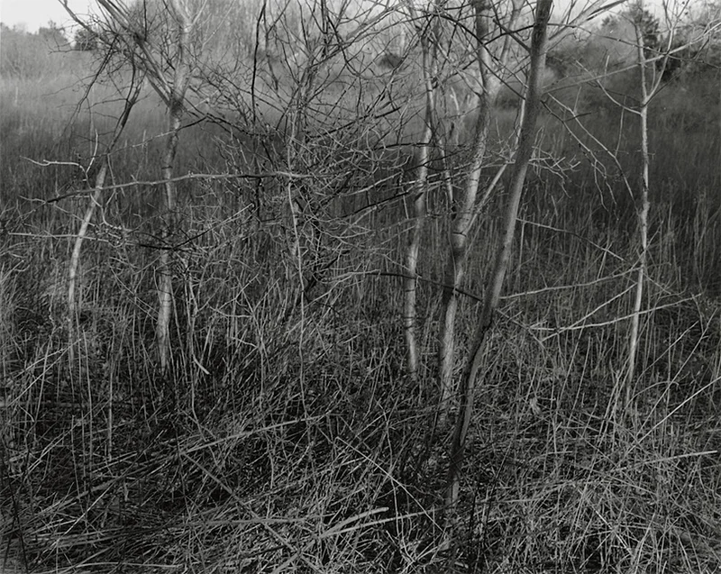 Angle of Incidence by J.B. Morton