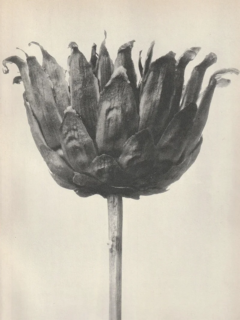 Art is in the Basement!