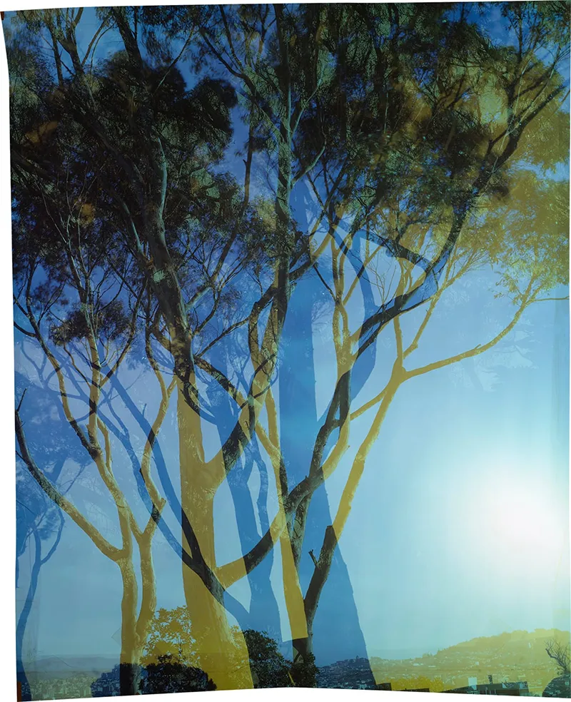 Backroom || John Chiara & William Dassonville