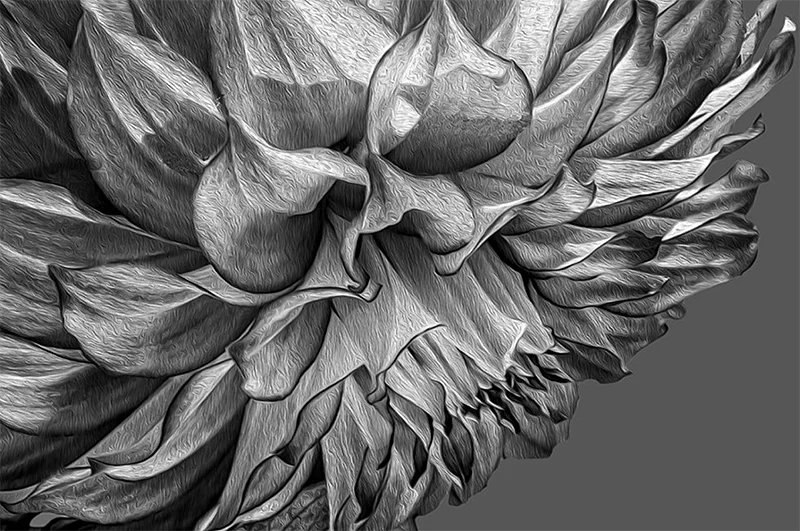 Barry Guthertz: Beyond Botanicals