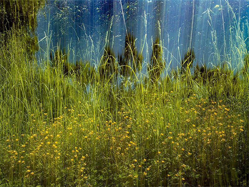 Barry Salzman: How We See The World