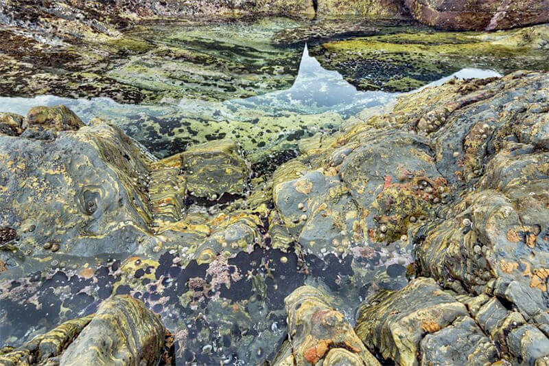 Bay of Life: From Wind to Whales