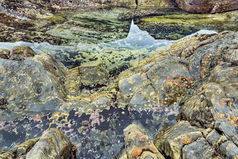 Bay of Life: From Wind to Whales