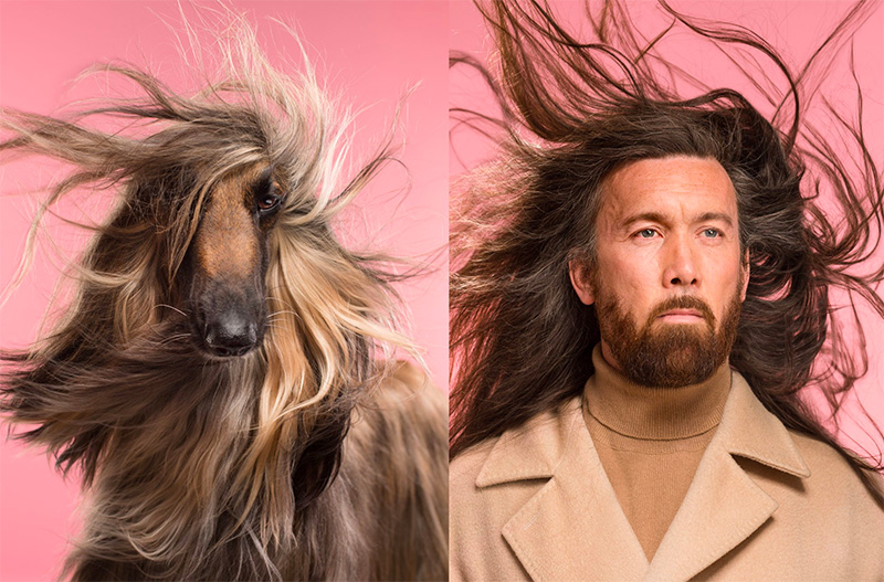 Best in Show: Pets in Contemporary Photography