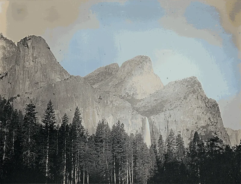 Binh Danh & Renee Royale