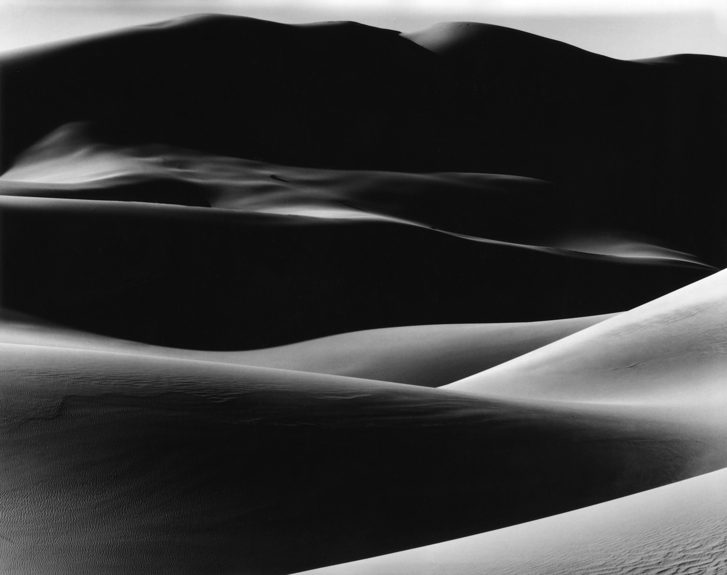 Brett Weston