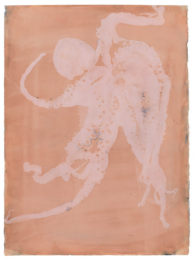 Brian Buckley: Uncertainty