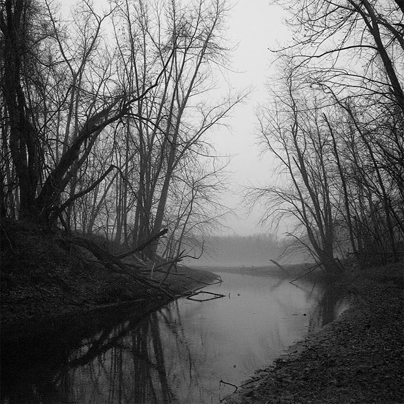 Bruce Hooke: The Dark Forest