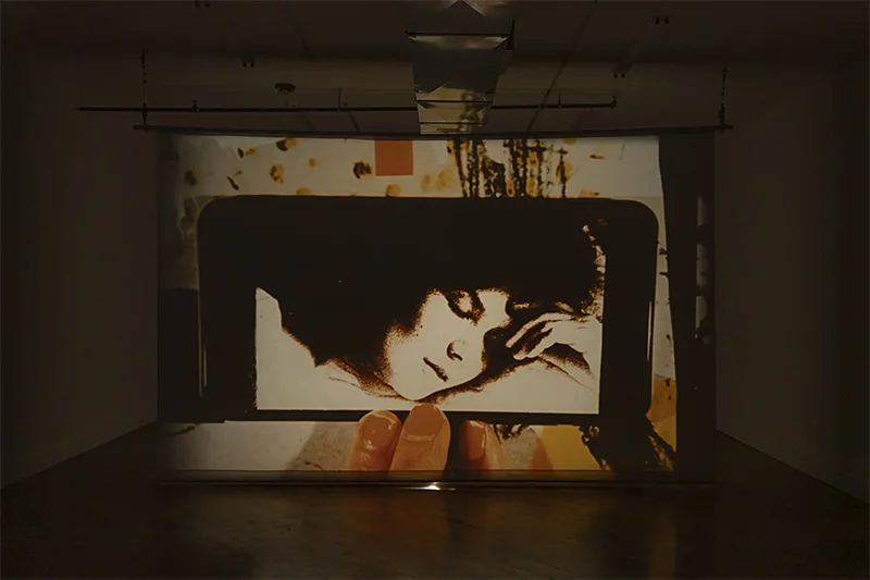 Carrie Schneider: FLW