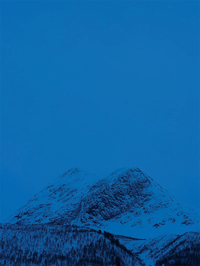Catherine Opie: Holding Blue